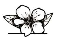 3c5bea29-7e1a-4ea7-84e6-3e43afb450f9_removalai_preview